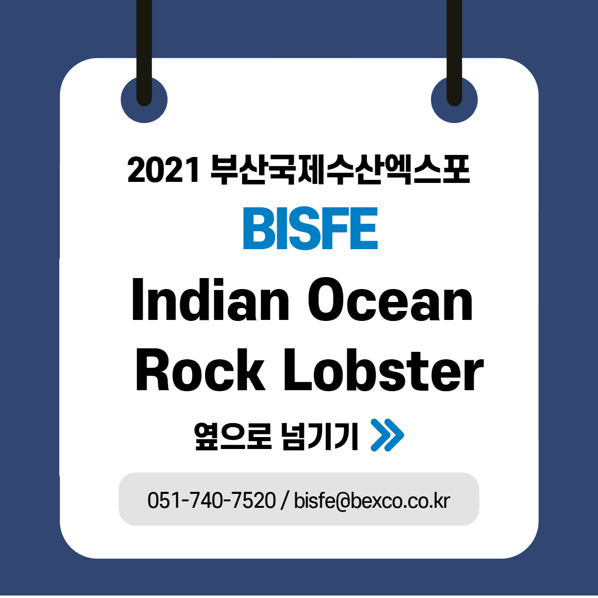 Indian Ocean Rock Lobster